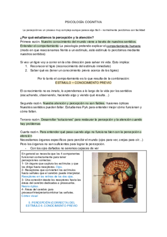 Percepcion-y-atencion-T1-3.pdf