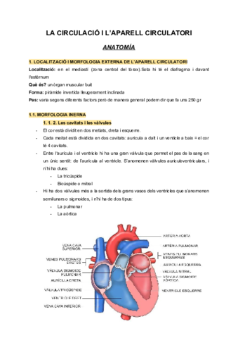 LA-CIRCULACIO-I-LAPARELL-CIRCULATORI-1.pdf