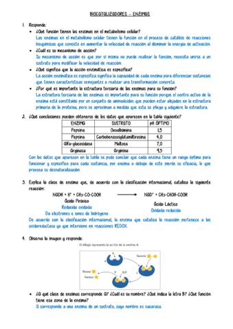 Biocatalizadores-Actividades.pdf