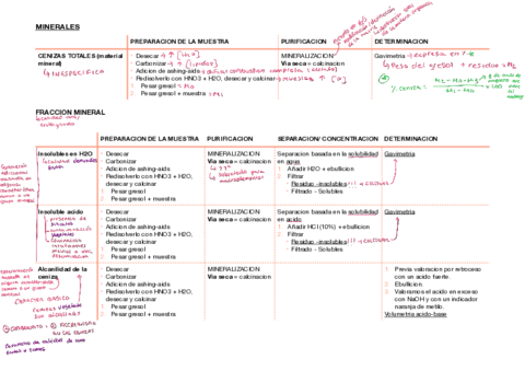 RESUMEN-MINERALES.pdf