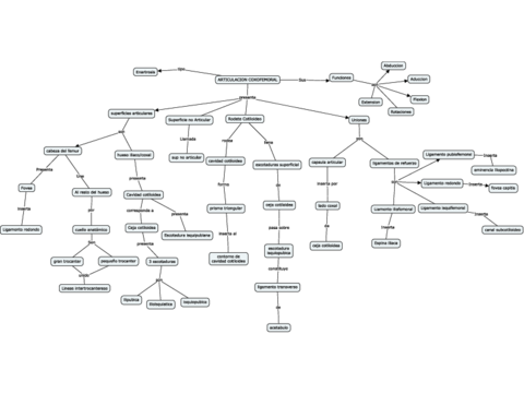 MAPAS-ARTROLOGIA.pdf