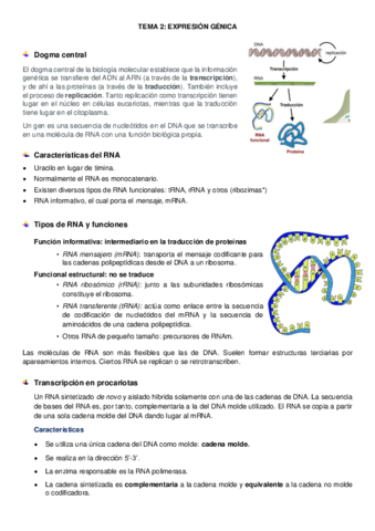 tema-2-genetica.pdf