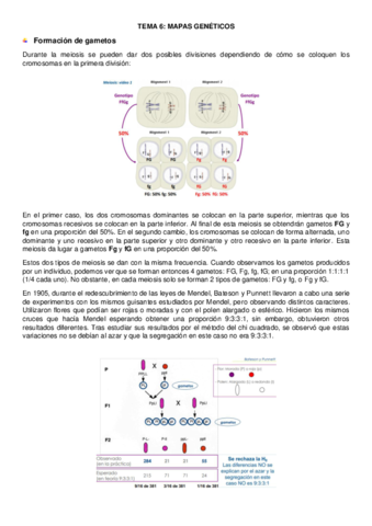 tema-6-genetica.pdf
