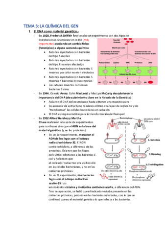 Tema-3-apuntes.pdf
