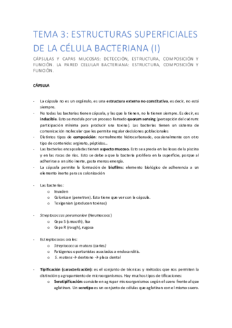 TEMA-3CAPSULA.pdf