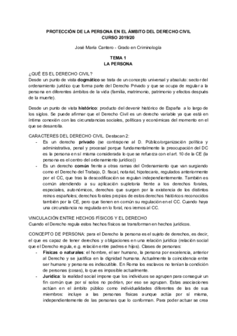 Proteccion-de-la-persona-en-el-ambito-del-Derecho-Civil.pdf