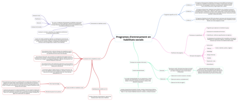 Programes-dentrenament-en-habilitats-socials-1.pdf