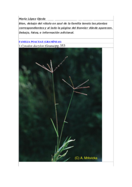 lista práctico botánica SEPTIEMBRE.pdf