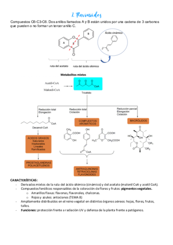 7.pdf