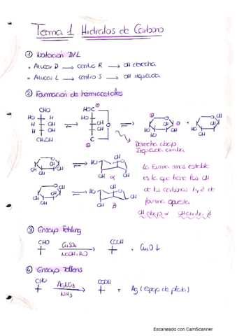 apuntes-organica-2.pdf