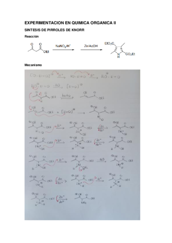 EXPERIMENTACION-EN-QUIMICA-ORGANICA-II.pdf