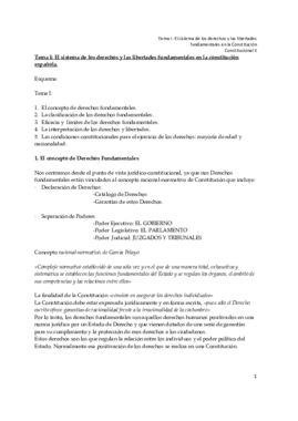 CONSTI II.pdf