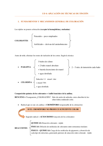 UD-4-TINCIONES.pdf