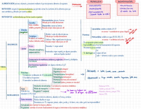 TEMA-2-ALIMENTACION-Y-NUTRICION-1.pdf