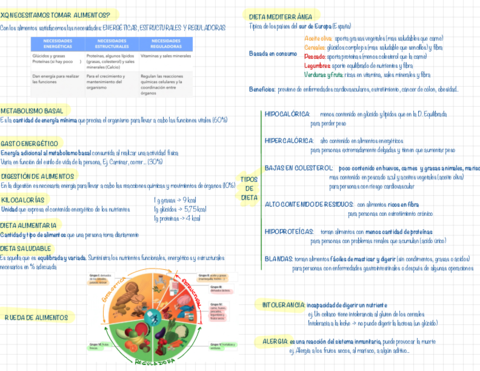 TEMA-2-ALIMENTACION-Y-NUTRICION-2.pdf