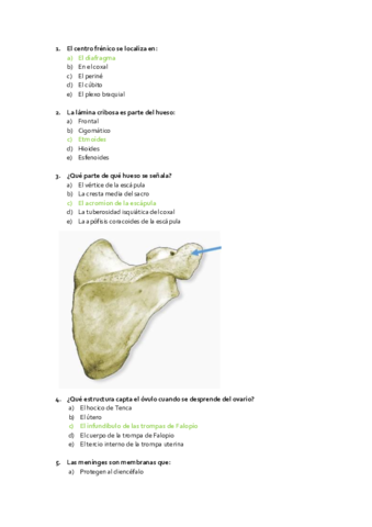 PREGUNTAS-EXAMEN-ANATOMIA-FEBRERO-2021.pdf