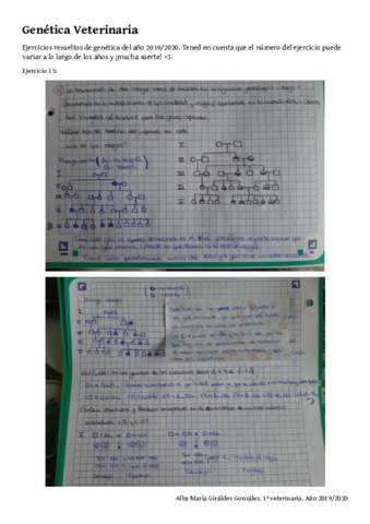 Ejercicios-Genetica-Resueltos-Alba-Giraldez.pdf