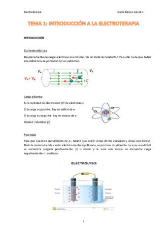 ELECTROTERAPIA-ENTERO.pdf