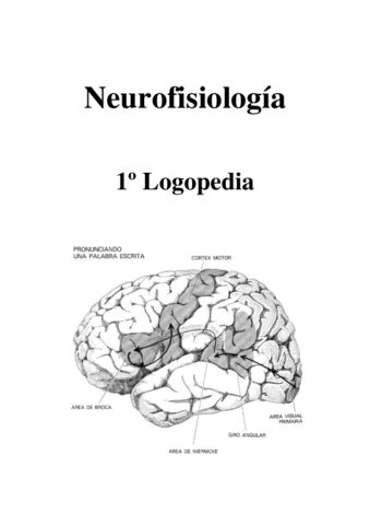Apuntes-neurofisiologia.pdf