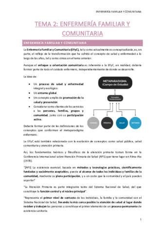 TEMA-2.pdf