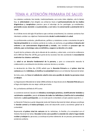 TEMA-4.pdf