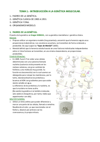 APUNTES-Tema-1-.pdf