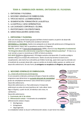APUNTES-T.pdf