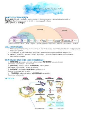 Bioquimica-1o.pdf
