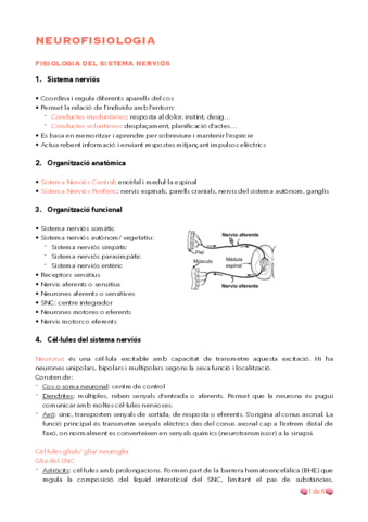 Resum-neurofisiologia.pdf