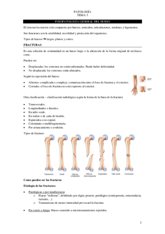 Tema-5-Fisiopatologia-general-del-hueso.pdf