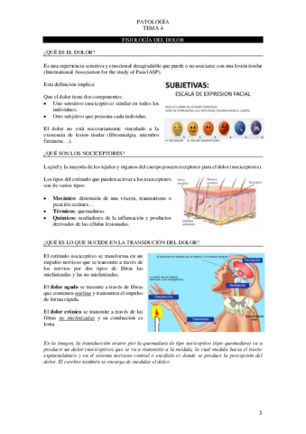 Tema-4-patologia.pdf