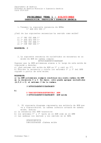 PROBLEMAS-RESUELTOS.pdf