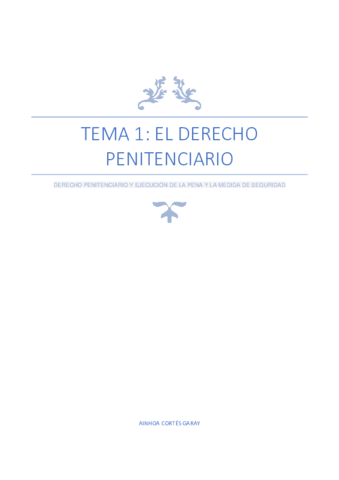 TEMA-1-DERECHO-PENITENCIARIO.pdf