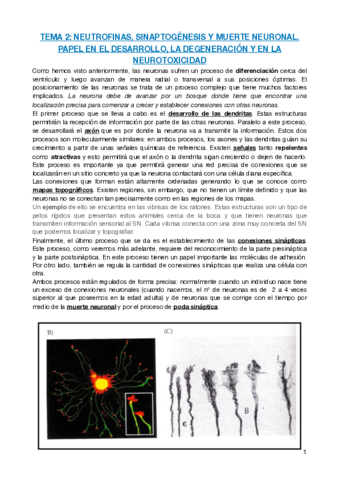 TEMA-2.pdf