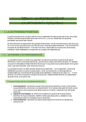 Resumen-tema-1-PAP.pdf