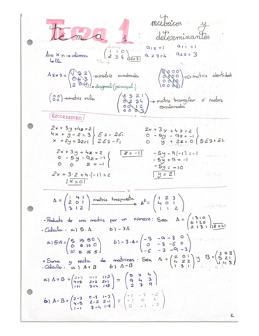 Matrices-y-determinantes.pdf