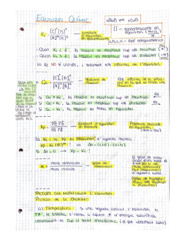 EquilibriQuimic.pdf