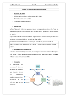 Tema 1 - Introducción a la percepción visual.pdf