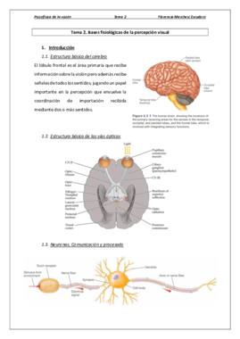 Tema 2 - Bases fisiológicas de la percepción visual.pdf
