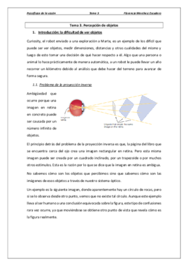 Tema 3 - Percepción de objetos.pdf