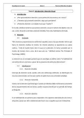 Tema 4 - Atención Visual.pdf