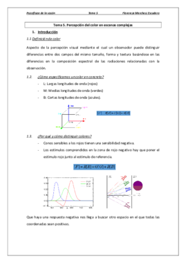 Tema 5 - Percepción del color en escenas complejas.pdf