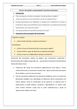 Tema 6 - Percepción y representación visual del movimiento.pdf