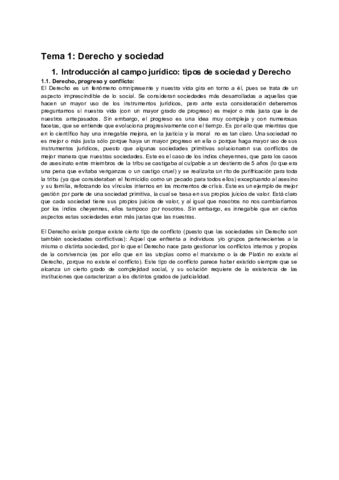 Teoria-del-derecho-tema-1.pdf