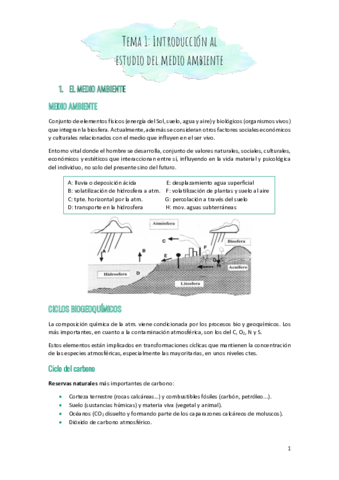 Tema-1-medio-ambiente.pdf