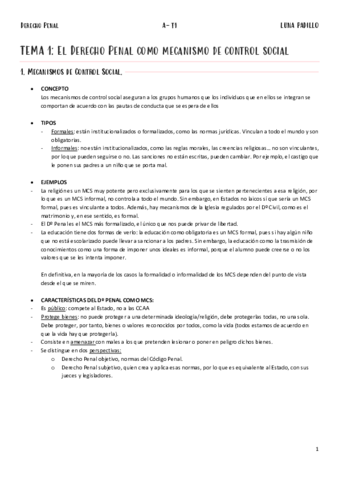 A-Penal-T1.pdf