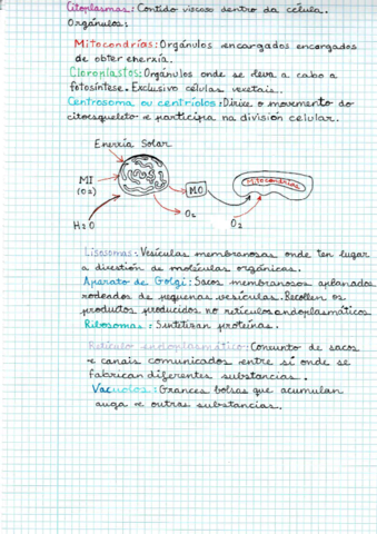 Scan2021-02-19191219.pdf