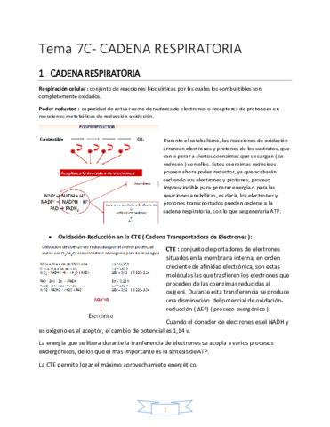TEMA 7C.pdf
