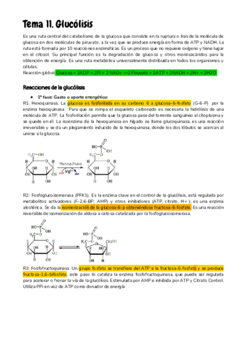 Apuntes-Bioquimica-II-MR.pdf