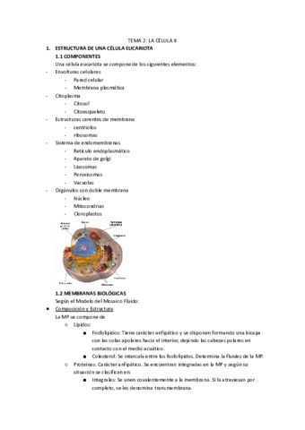 Tema-2-La-Celula-II.pdf